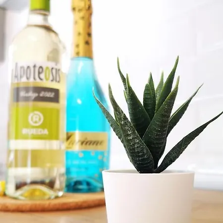 Disfruta Junto Al Mar Daire La Laguna (Tenerife)